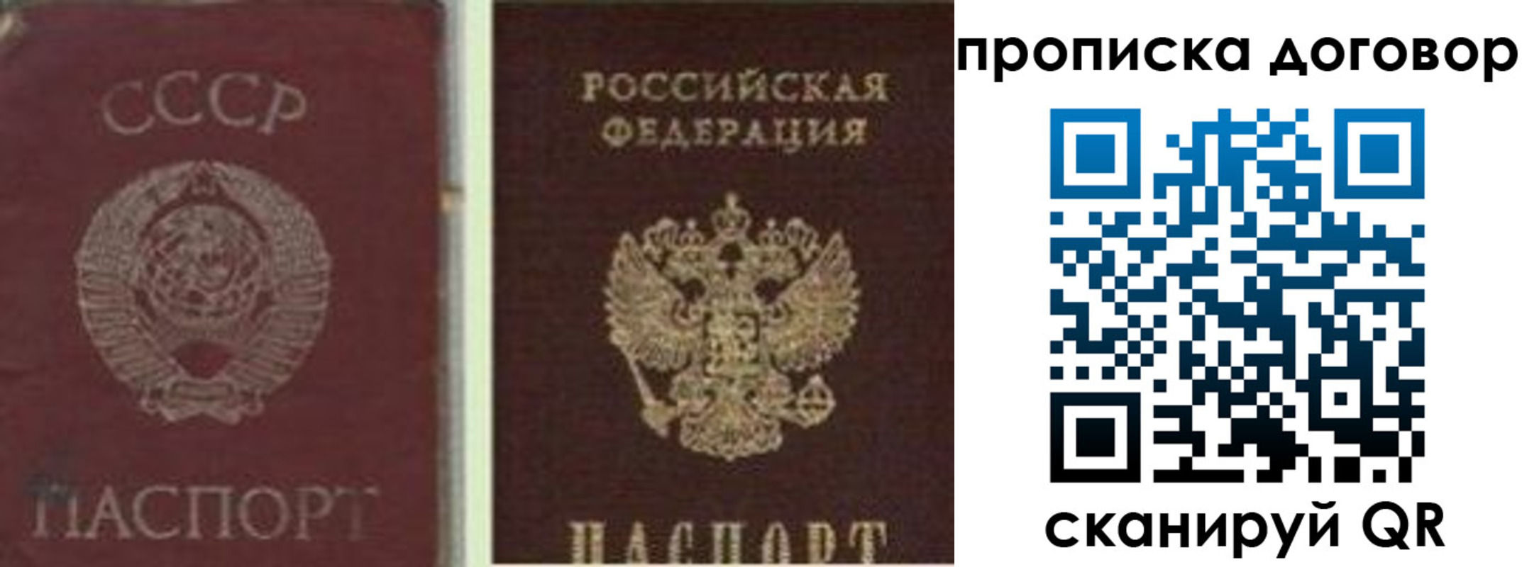 прописка гарантия в Самаре